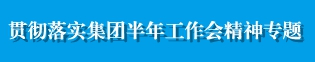 貫徹落實集團半年工作會精神專題